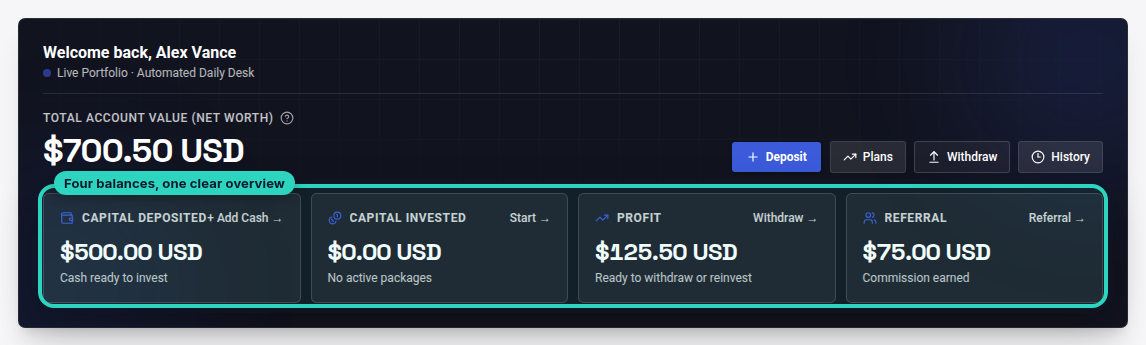 RAFY Capital dashboard showing the deposit, invested capital, profit and referral wallet balances